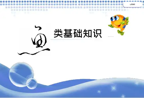 鱼类基础知识.ppt