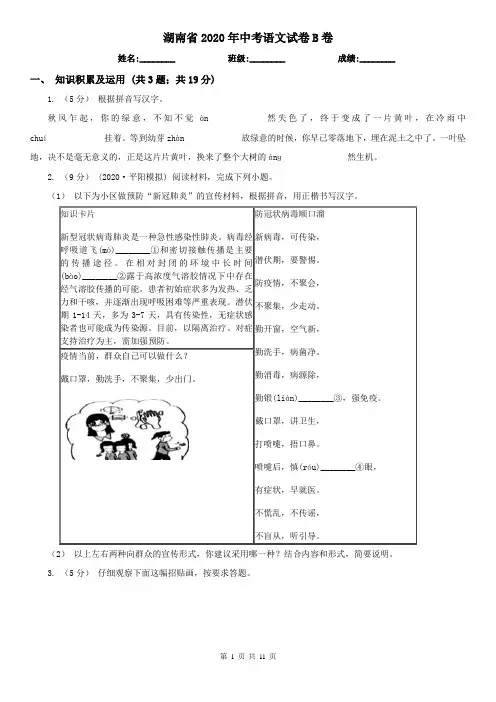 湖南省2020年中考语文试卷B卷