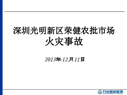 深圳光明新区荣健农批市场火灾分析报告 