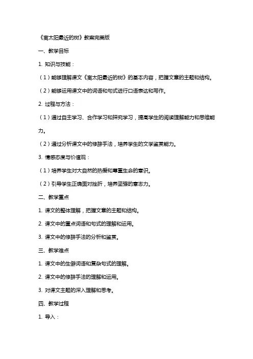《离太阳最近的树》教案完美版