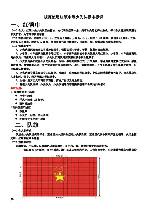 规范使用红领巾等少先队标志标识
