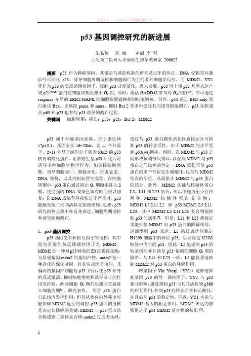 p53基因调控研究的新进展 (1)