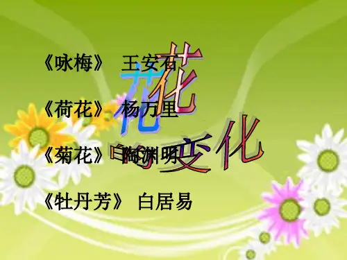 苏少版美术七年级上册第六课《花的变化》ppt课件1
