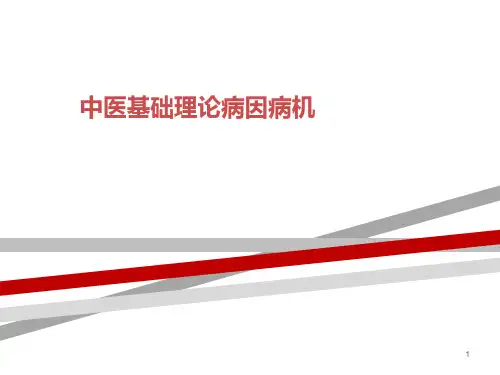中医基础理论病因病机