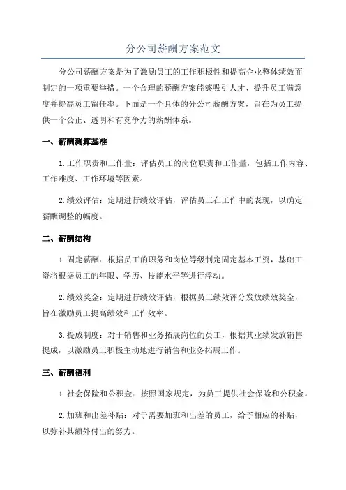 分公司薪酬方案范文