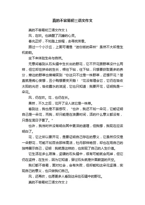 真的不容易初三语文作文