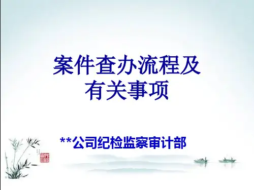 案件查办流程