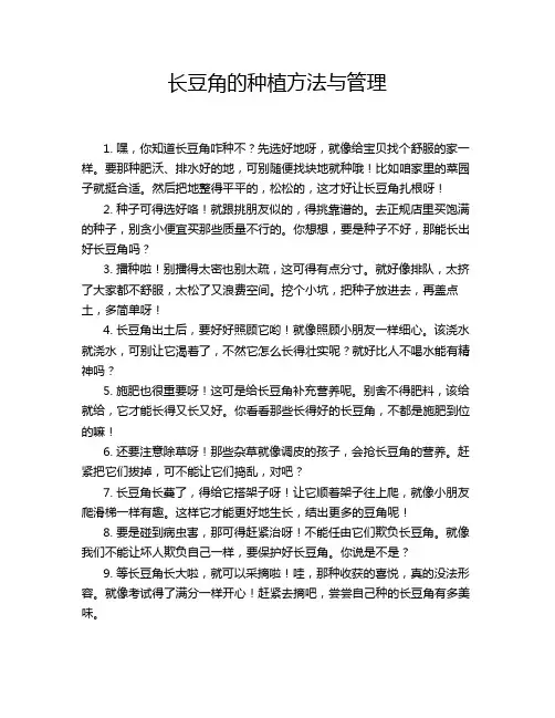 长豆角的种植方法与管理