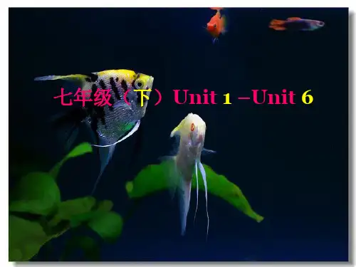 人教版中考英语复习课件_(七年级下册_U1-U6)