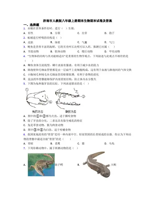 济南市人教版八年级上册期末生物期末试卷及答案