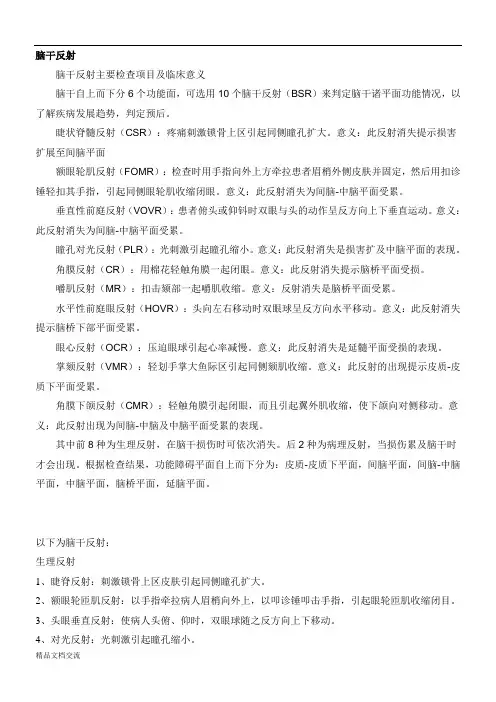 脑干反射