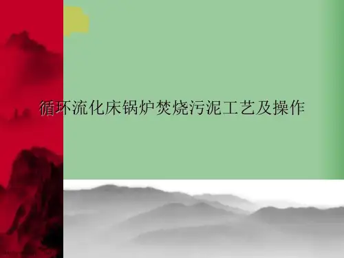 循环流化床锅炉焚烧污泥工艺及操作