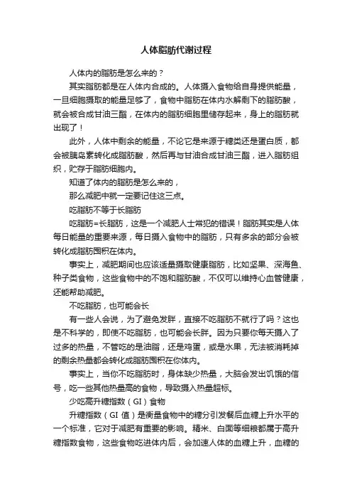 人体脂肪代谢过程