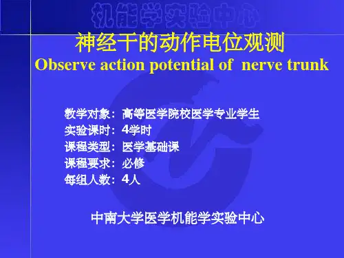 神经干的动作电位传导速度与不应期测定hy