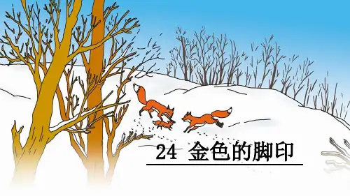 《金色的脚印》公开课 PPT