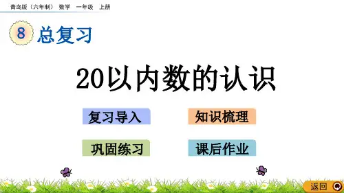 20以内数的认识课件