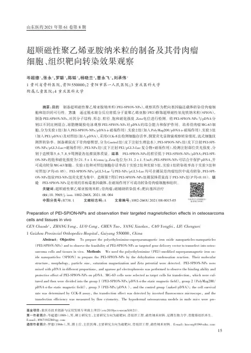 超顺磁性聚乙烯亚胺纳米粒的制备及其骨肉瘤细胞、组织靶向转染效果观察