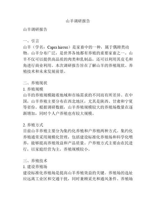 山羊调研报告