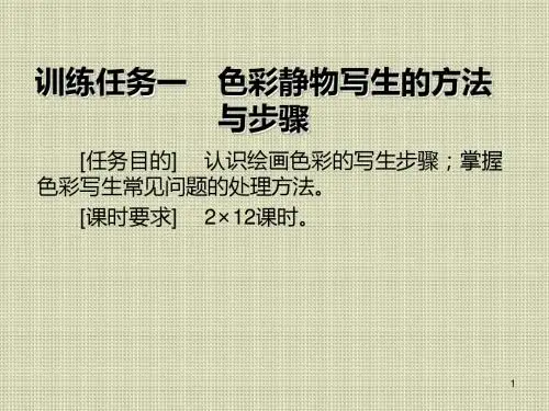 色彩设计基础训练任务一 色彩静物写生的方法与步骤