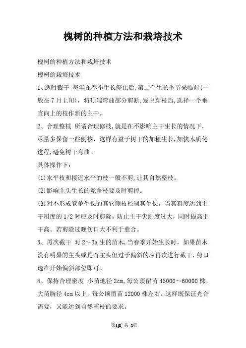 槐树的种植方法和栽培技术