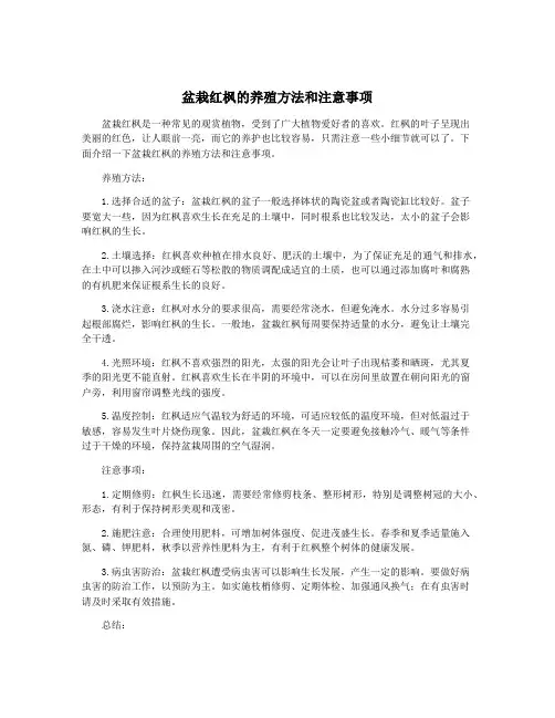 盆栽红枫的养殖方法和注意事项