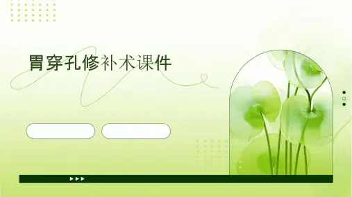胃穿孔修补术谢喆课件