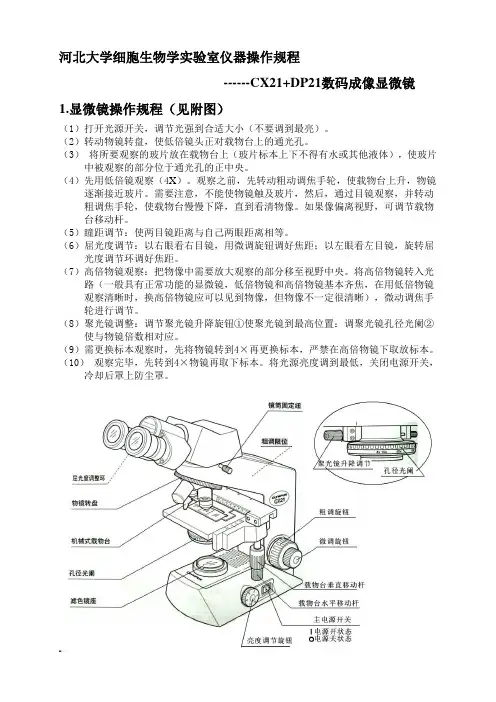 数码成像显微镜使用规程(OLYMPUS)
