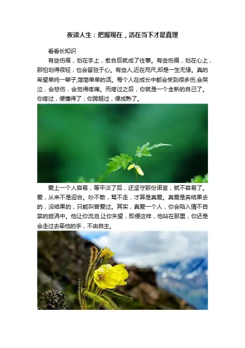 夜读人生：把握现在，活在当下才是真理