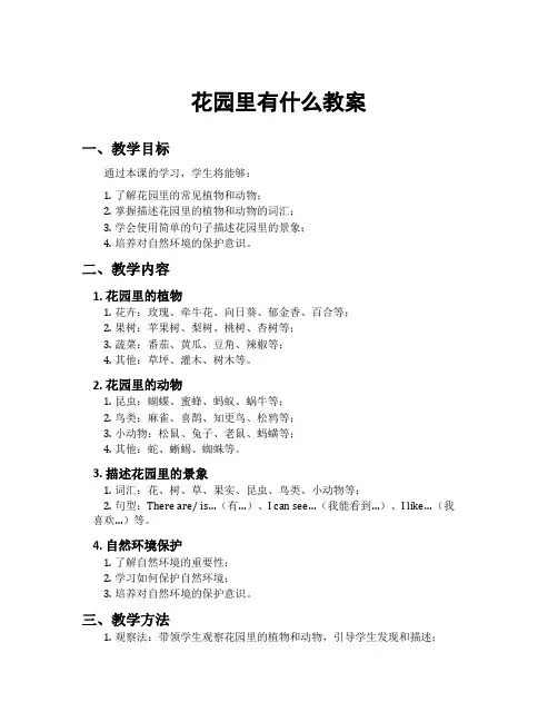 花园里有什么教案