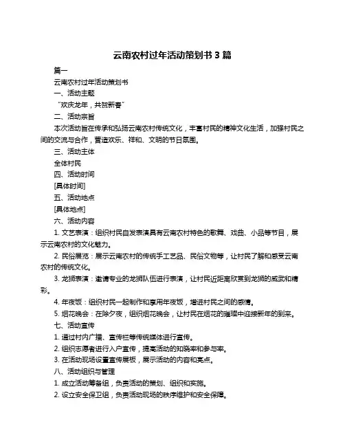 云南农村过年活动策划书3篇