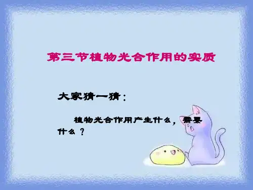 2023秋七上第三节《植物光合作用的实质》ppt
