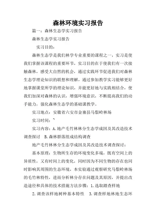 森林环境实习报告