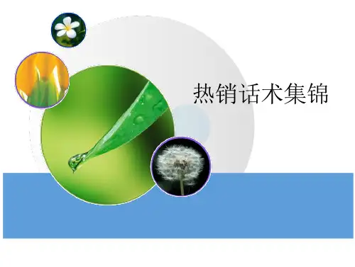 保险电销热销话术集(假日经营)