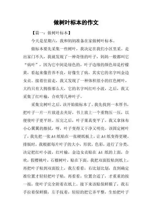 做树叶标本的作文