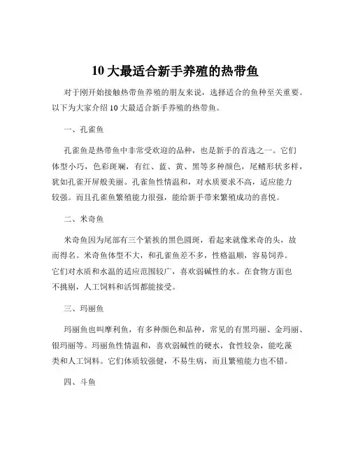 10大最适合新手养殖的热带鱼