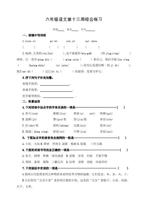部编版(统编)小学语文 六年级上册 周周练 综合练习13