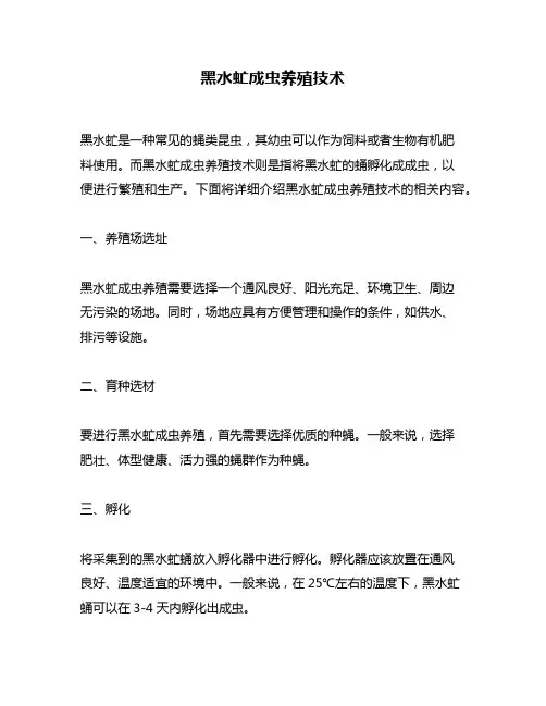 黑水虻成虫养殖技术