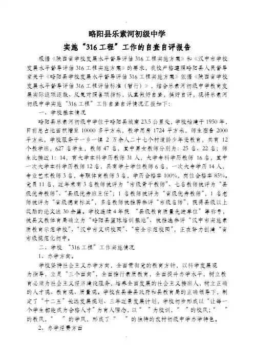316工程工作的自查自评报告