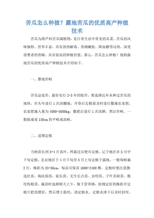 苦瓜怎么种植？露地苦瓜的优质高产种植技术