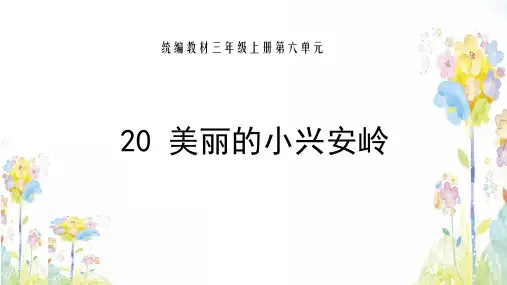 20  美丽的小兴安岭  课件(共23张PPT)