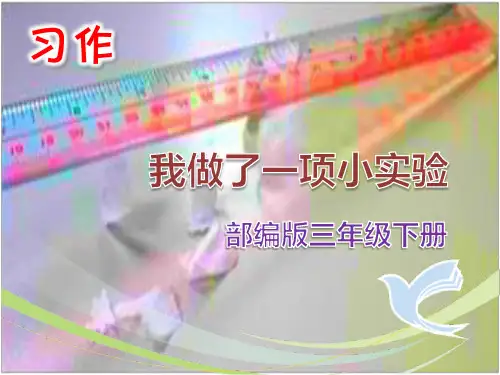 部编版三年级下册习作《我做了一项小实验》ppt课件