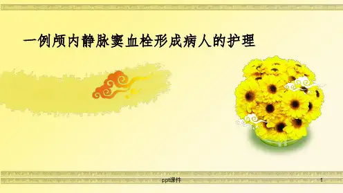一例颅内静脉窦血栓形成病人的护理PPT课件
