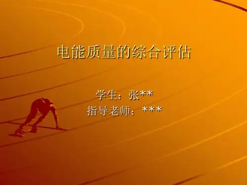 电能质量的综合评估PPT