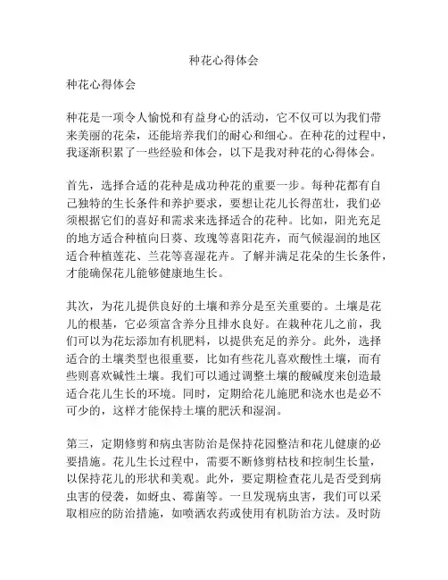 种花心得体会