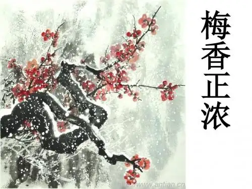六年级语文上册《梅香正浓》课件1北师大版
