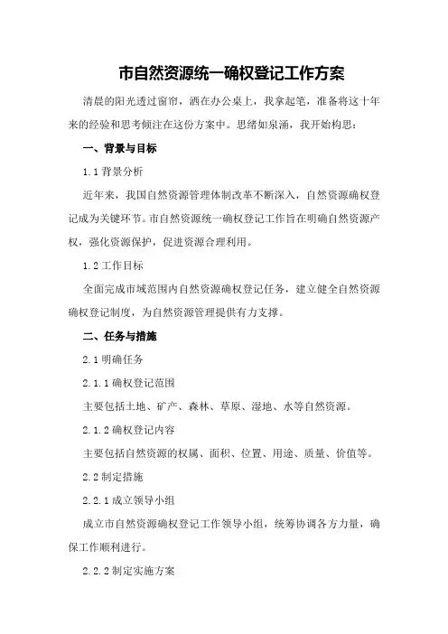 市自然资源统一确权登记工作方案