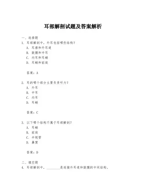 耳部解剖试题及答案解析
