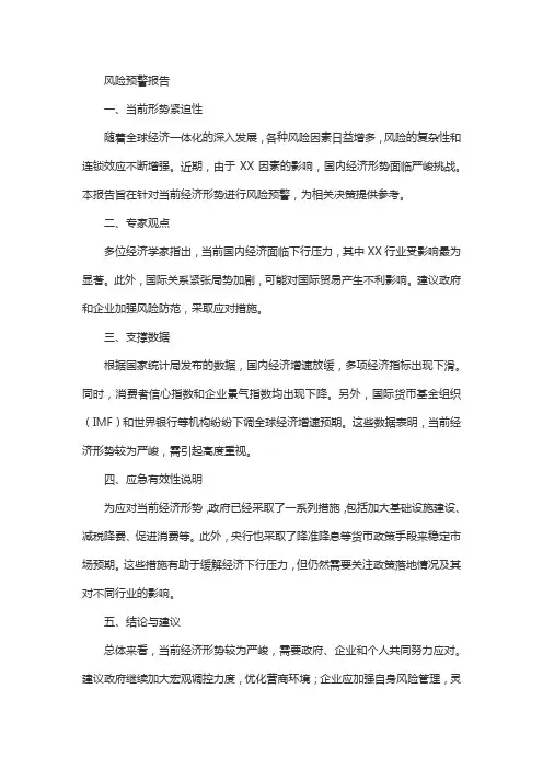 风险预警报告范文