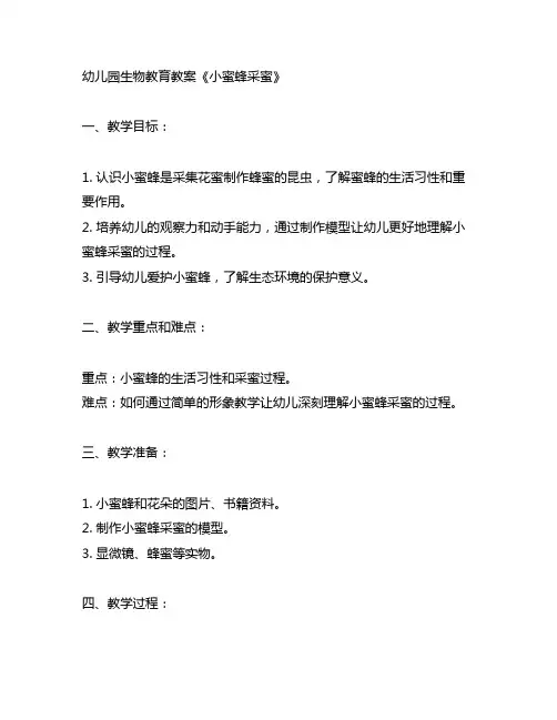 幼儿园生物教育教案《小蜜蜂采蜜》 幼儿园教育