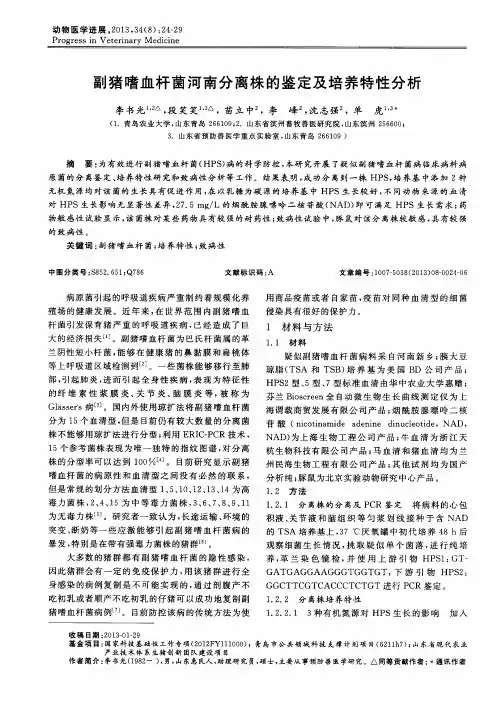 副猪嗜血杆菌河南分离株的鉴定及培养特性分析